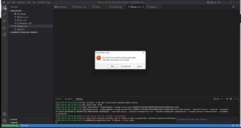 jsonに以下2行を適当に追加 "update. . Vs code server for wsl closed unexpectedly